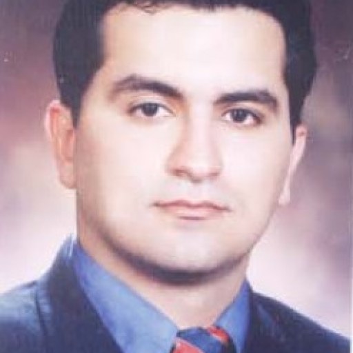 تصویر امیر بهروزی