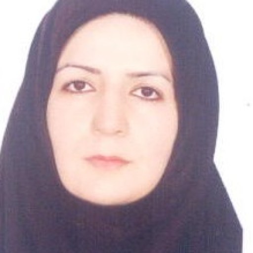 تصویر مریم عبدالملکی