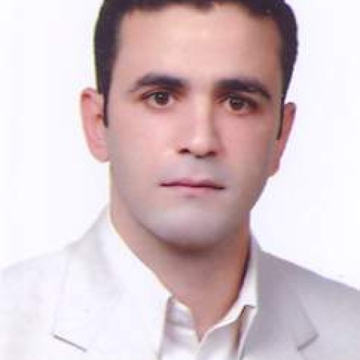 تصویر محمدرضا گودرزی