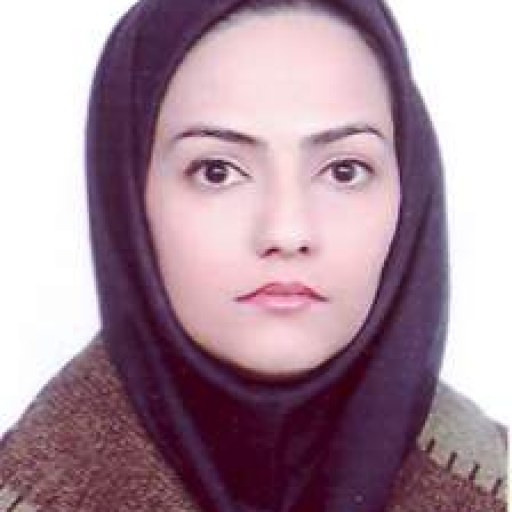 تصویر ژیلا تقی زاده