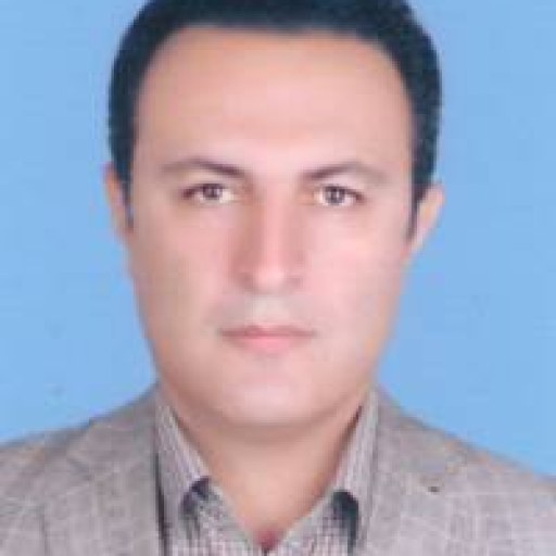 تصویر حمید محمدی