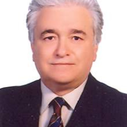 تصویر ناصر استاد باقر کاشی