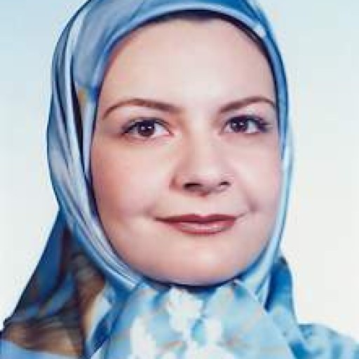 تصویر سیده آرزو محمودی