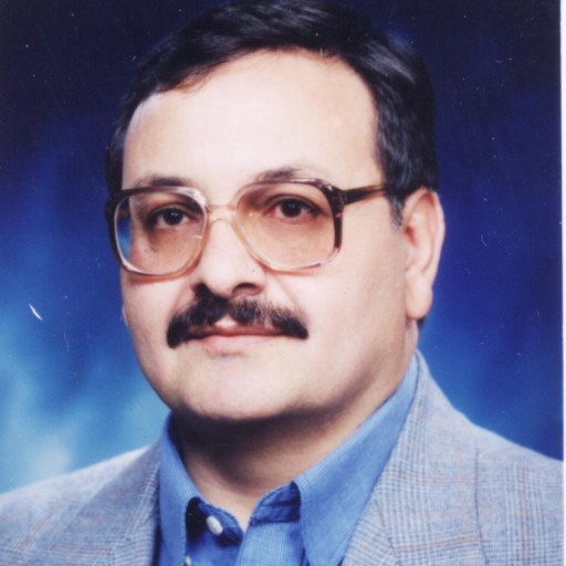 تصویر محمدرضا استوار