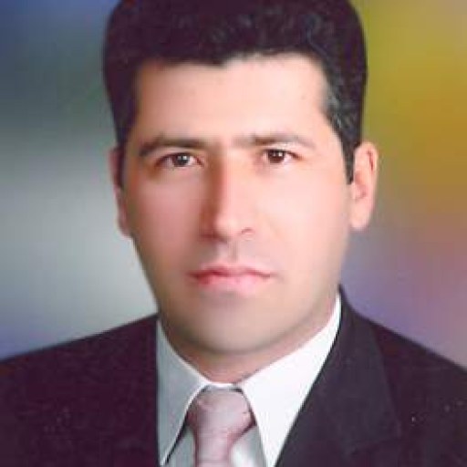 تصویر جواد گرجی