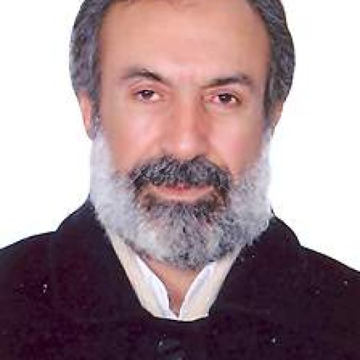 تصویر محمدرضا باباصفری رنانی