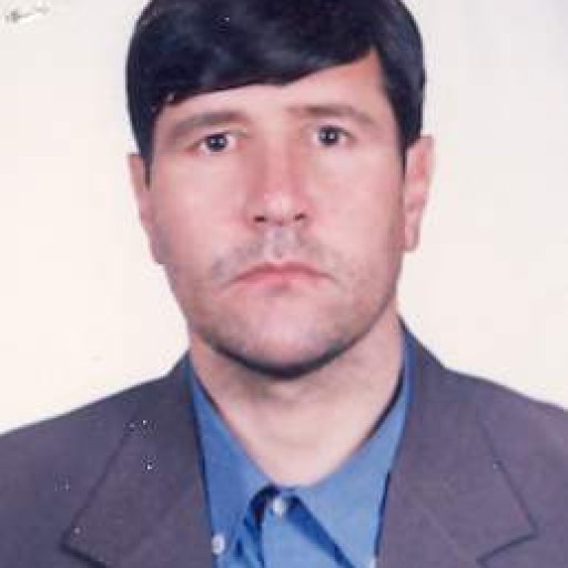 تصویر احسن بوستانی
