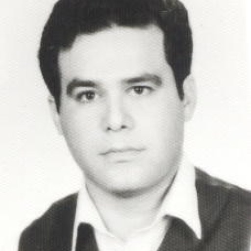 تصویر محسن میدان شاهی