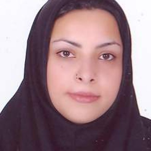 تصویر سیده مریم جوادی