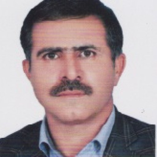 تصویر حسن فرزانه