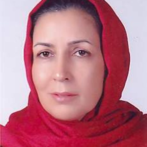 تصویر نسرین ولی زاده