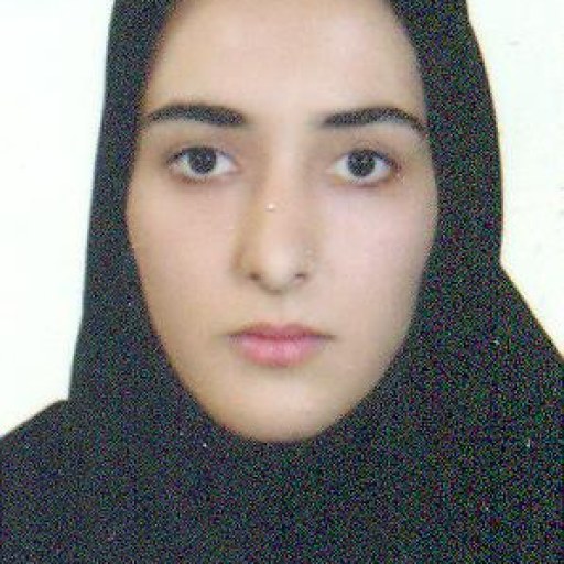 تصویر زینب میررستمی