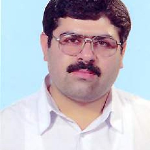 تصویر مسعود حیدری