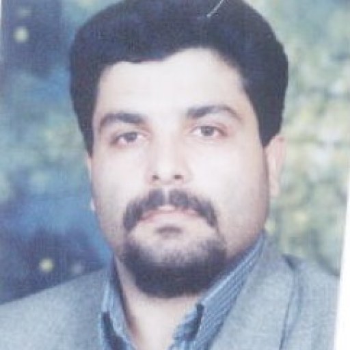 تصویر محمدرضا حمیدیان جهرمی