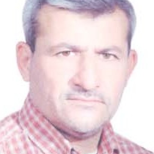 تصویر مهدی سلامی