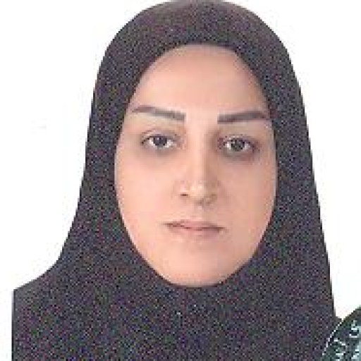 تصویر مریم خرمی پور