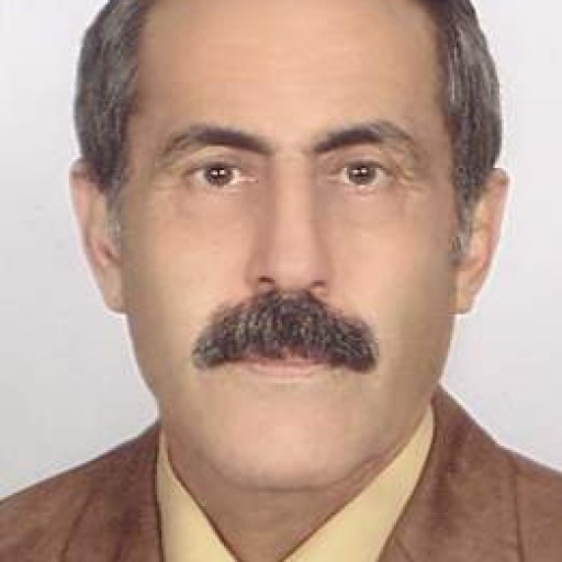 تصویر نادر منصور