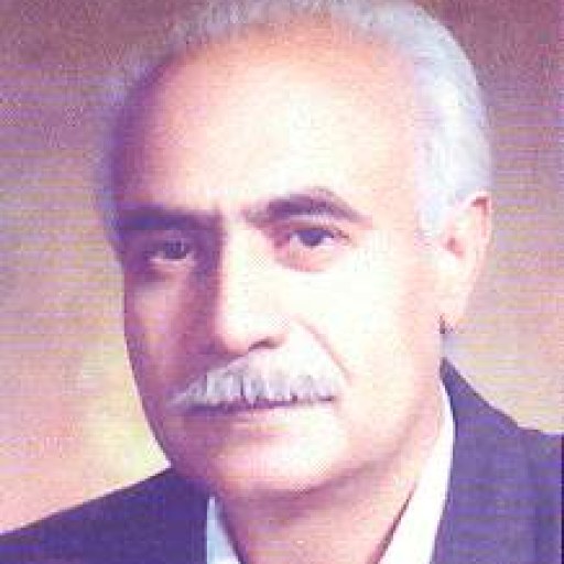تصویر محمود دمیرچی