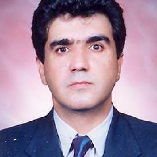 تصویر نادر الوندی