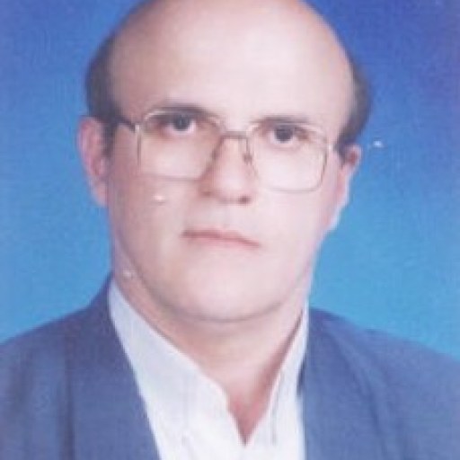 تصویر محمود پوراصغری