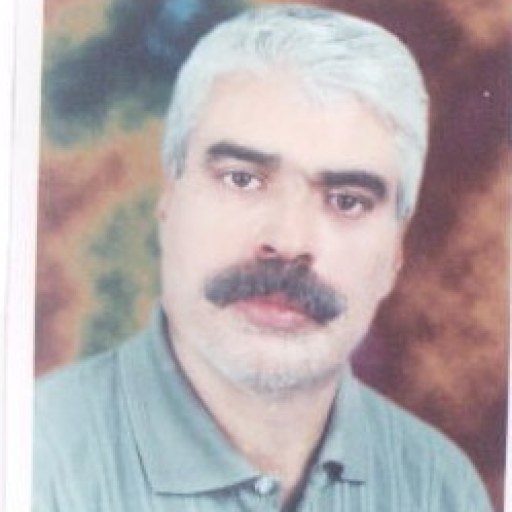 تصویر حسین روشن