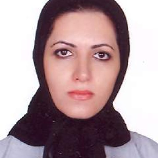 تصویر حمیده سادات محمد حسین