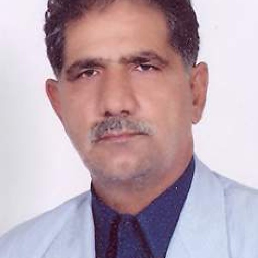 تصویر علی اصغر رازقی گل ختمی
