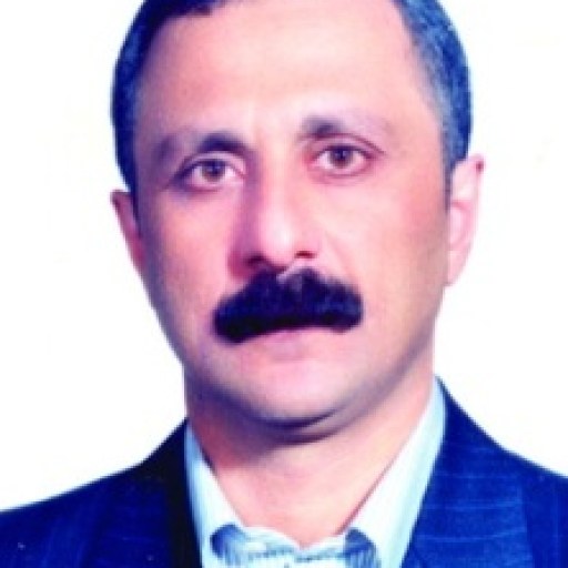 تصویر جاویدان زرگری