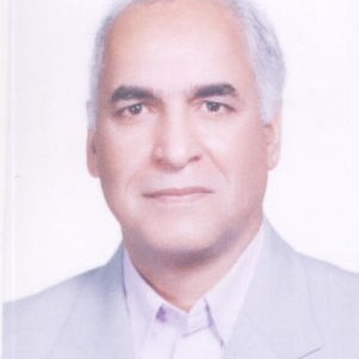 تصویر امیرحسن سپهری