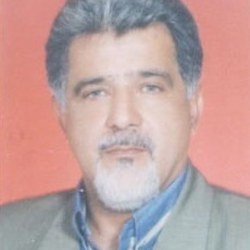 تصویر حسن رضا دقیقیان