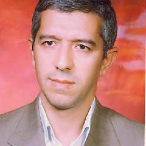 تصویر نادر کرمی