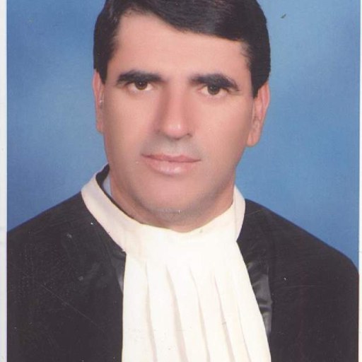 تصویر حمداله محمدی
