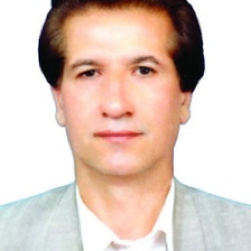 تصویر حجت پورداور