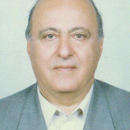 تصویر ارژنگ شیروانی