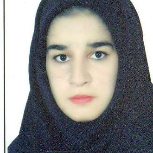 تصویر نگار رئیسی بویرحسنی