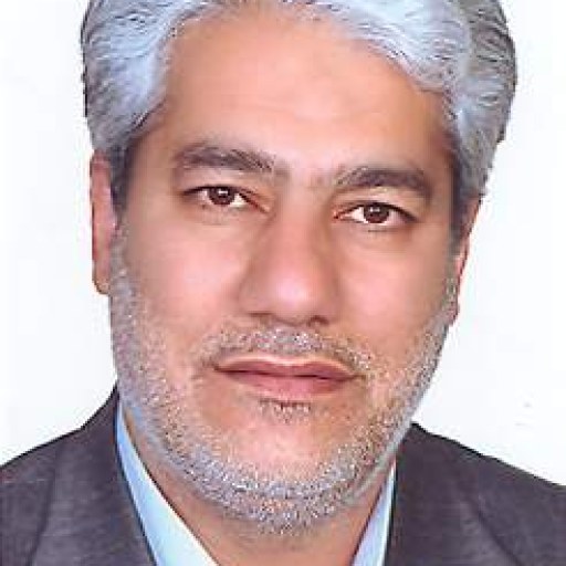 تصویر محمدعلی لطفعلیان صارمی