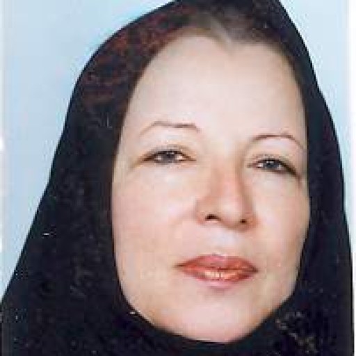 تصویر آذردخت رجبی زنجانی