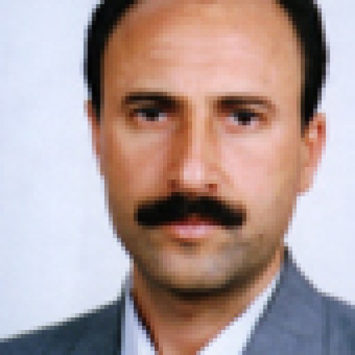 تصویر یحیی پاویز