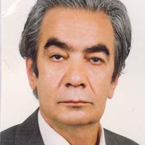 تصویر سیدمحسن طیبی