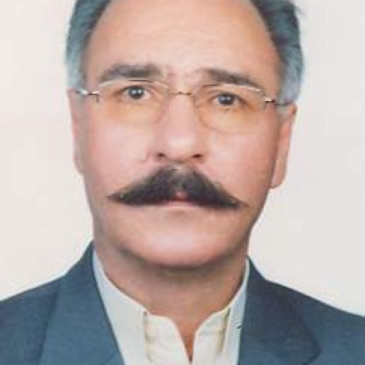 تصویر انوشیروان منشی زاده