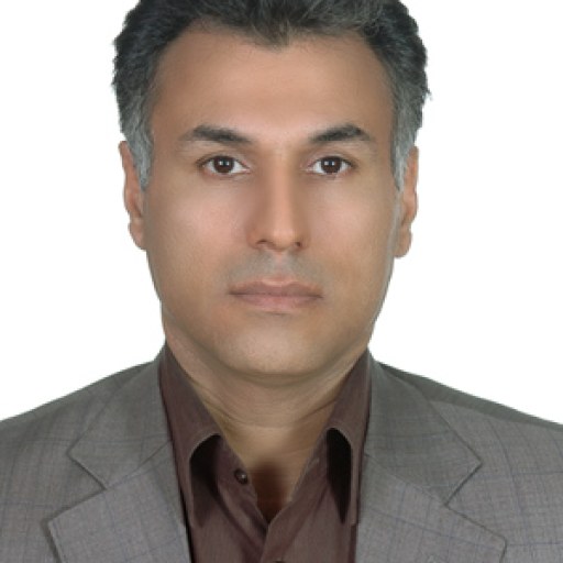 تصویر محمدحسین ملکی