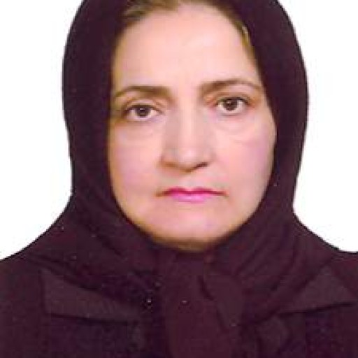 تصویر شهرانگیز ابوطالبی کهنه شهری