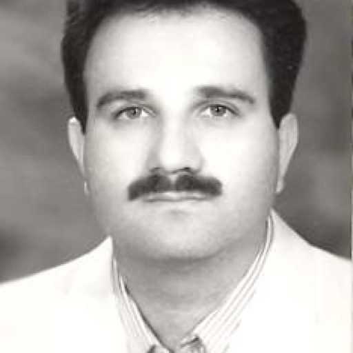 تصویر مهرداد فریدونی