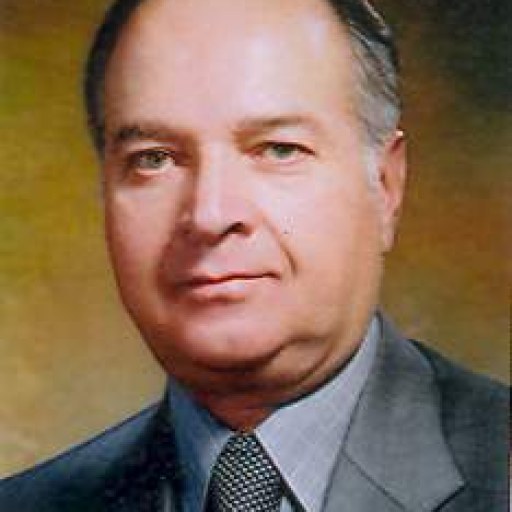 تصویر احمد کوکبی