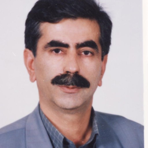 تصویر لهراسب حافظی بیرگانی