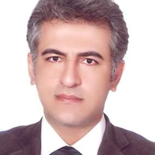 تصویر رضا رضائی نیا