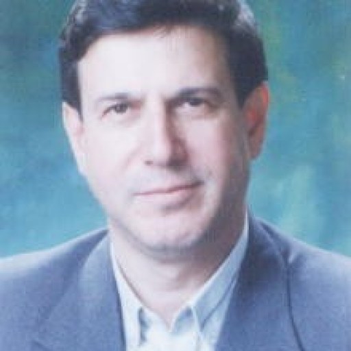 تصویر سیدحسن شهرجردی