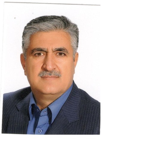 تصویر حسن انصافی