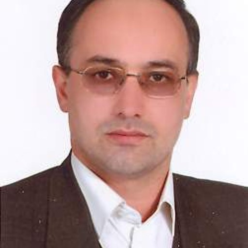 تصویر سید حسین عرب نجفی