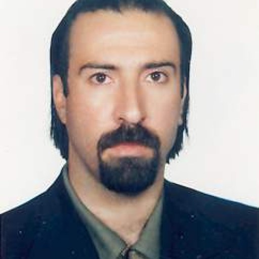 تصویر محمدمهدی شعبانی